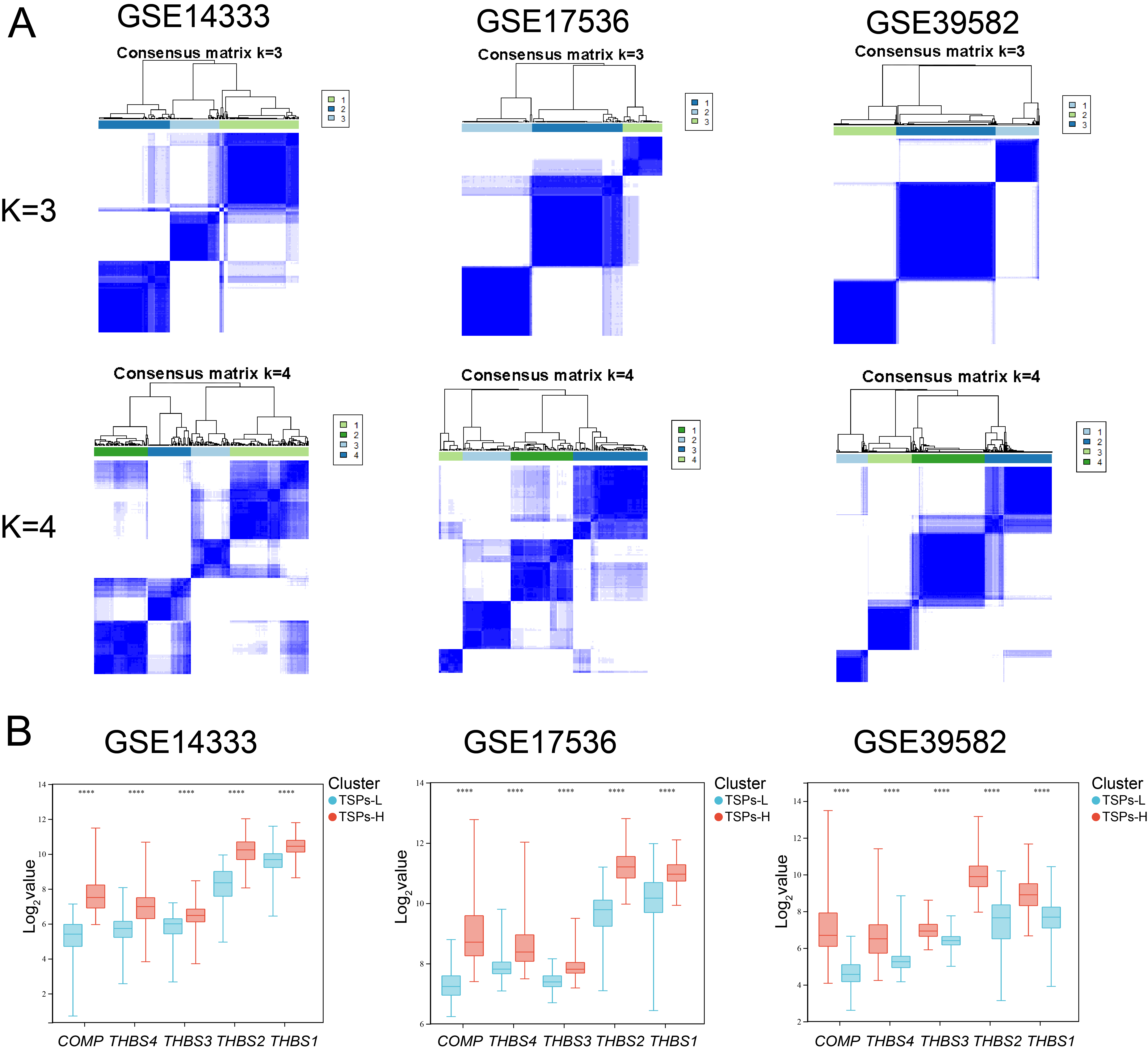  Based on TSP expression, patients can be divided into two subtypes with different prognoses