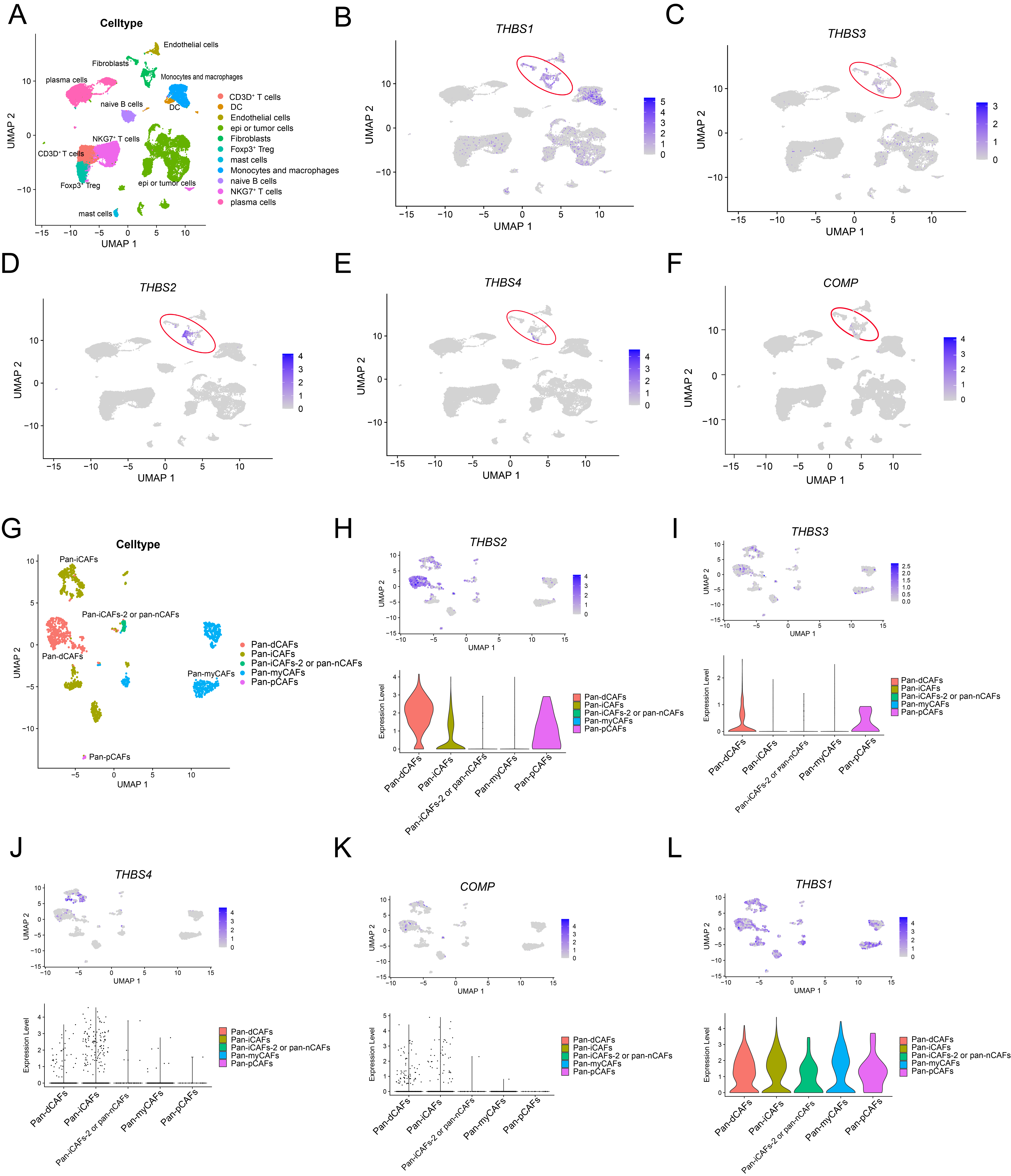 Single-cell analysis to localize the cellular origin of TSP molecules in colon cancer tissues