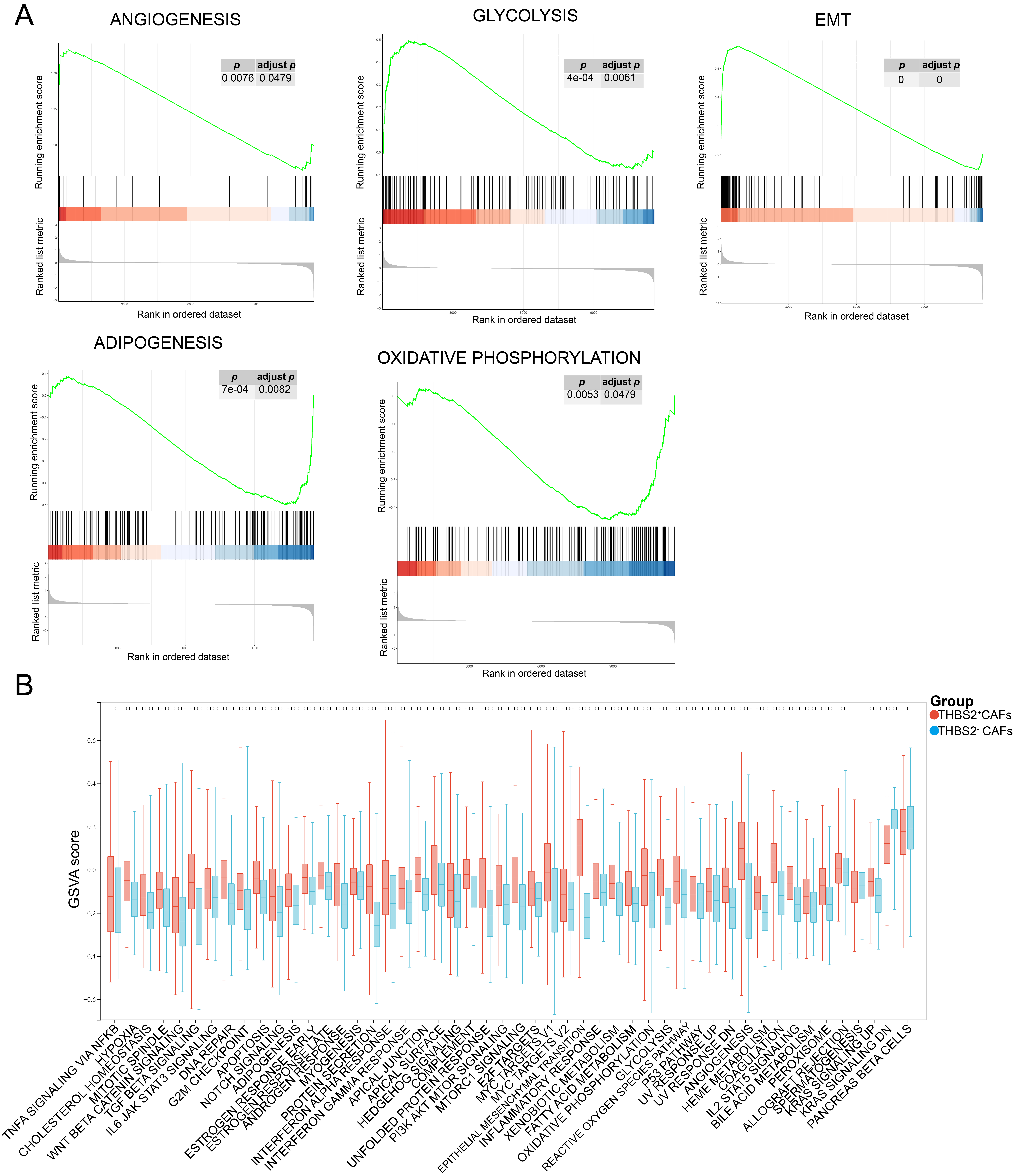 THBS2 can significantly affect cancer-related signaling pathways activity in CAFs